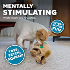 Outward Hound Hide-A-Squirrel Dog Toy – Interactive 2‑in‑1 Plush Puzzle with 3 Squeaky Removable Squirrels, Small