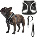 AMTOR Small Dog Harness with Leash Set, No Escape Easy Walk Puppy Harnesses for Training Walking, Step-in Reflective Soft Dogs Vest for XS S Medium Extra-Small Large Sized Dog(M,Black/Grey)
