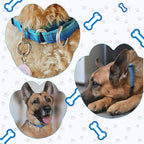 Martingale Collar for Dogs Large Medium Small Heavy Duty Buckle Dog Collar with Tag Ring Reflective Nylon Gradient Dog Collar No Pull Training Collar