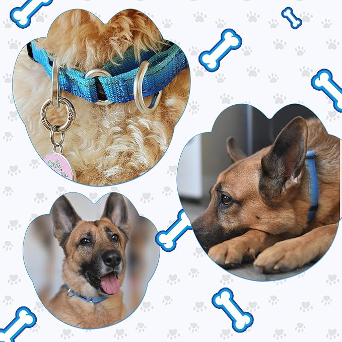 Martingale Collar for Dogs Large Medium Small Heavy Duty Buckle Dog Collar with Tag Ring Reflective Nylon Gradient Dog Collar No Pull Training Collar