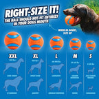 Chuckit! Dog Ball Launcher 12M Sport with 12" Handle Length for Medium 2.5" Dog Balls For Dogs 20-60 lb, Plastic Pet Fetch Ball Thrower, Perfect for Kids, Made in USA, Blue