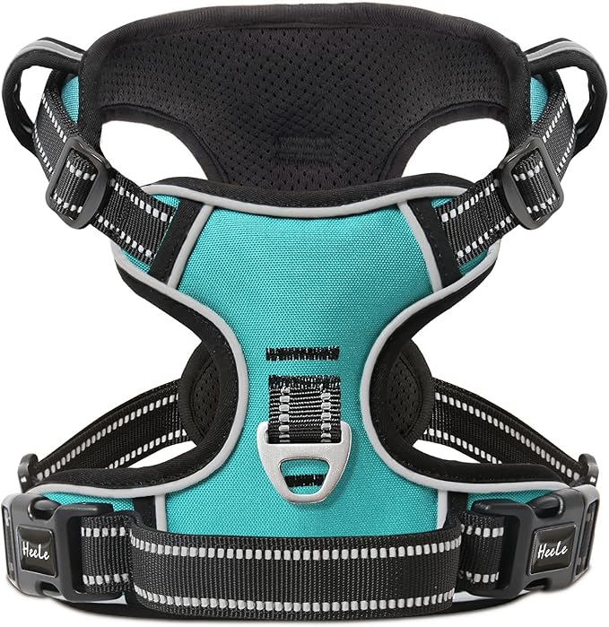 HEELE Dog Harness, No Pull Adjustable Padded Reflective Harness for Small Medium Large Dogs with Handle for Walking Training, Turquoisek, L