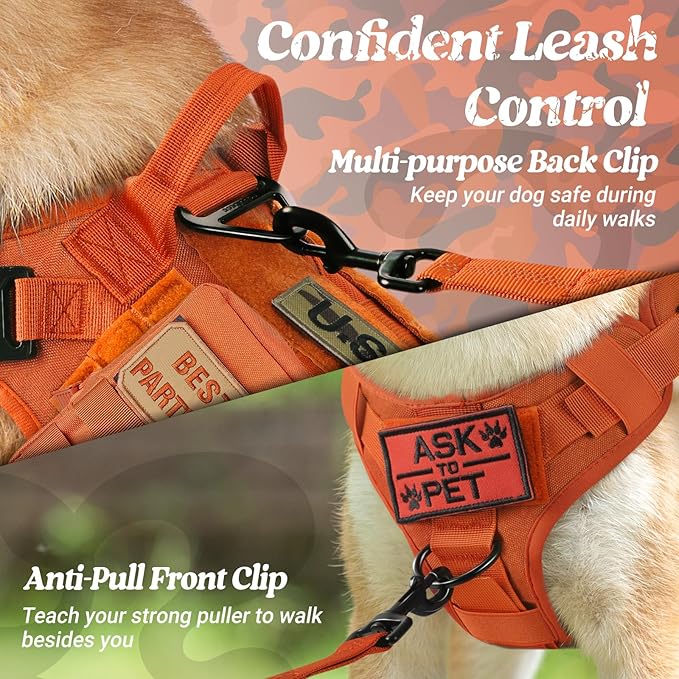 rabbitgoo Tactical Dog Harness Medium Sized, Heavy Duty Pet Harness with Handle, No-Pull Service Vest Medium Breed, Adjustable Military Dog Vest for Training Hunting Walking, Orange, M
