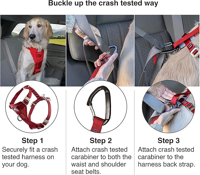 Kurgo Enhanced Strength Tru-Fit Dog Car Harness - Pet Travel Safety Harness - Crash Test Certified Fit - Five Point Adjustment - Secure Buckle - Padded Chest - Black - X-Small