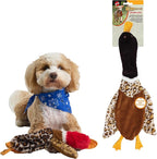 SPOT Skinneeez Crinklers Bird - Stuffing-Free Dog Toy with Crinkle & Squeaker Sounds, Durable for Light to Moderate Chewers, Tug Toy for Small Dogs & Puppies, 14in