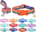 Dog Collar with Leash Airtag Holder Case Set - Dog Collars for Male Female Boy Girl Puppy X-Small Small Medium Large Dogs Walking Running Training - Forest/M