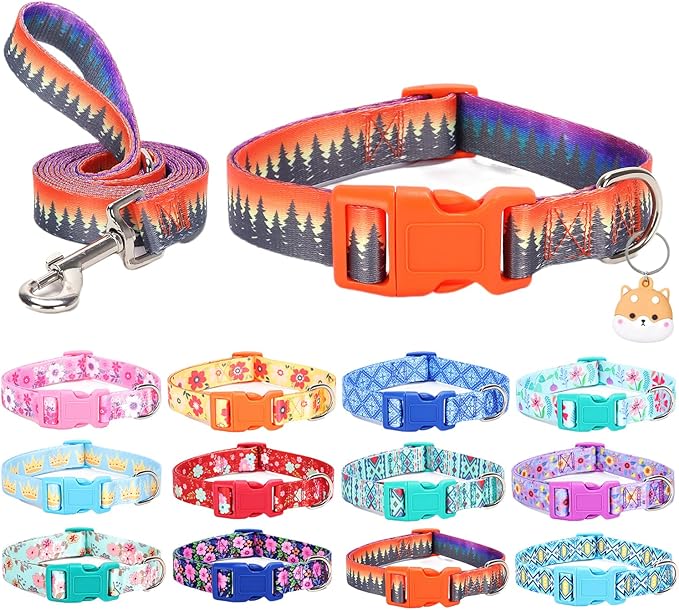 Dog Collar with Leash Airtag Holder Case Set - Dog Collars for Male Female Boy Girl Puppy X-Small Small Medium Large Dogs Walking Running Training - Forest/L