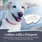 Lucky Love Dog - Easy Click Buckle Dog Collar with Leash Set Combo, Durable & Comfortable for Male & Female Dogs, Pet Collar for Small Dogs, Secure Fit - Floral Rosie Combo, X-Small