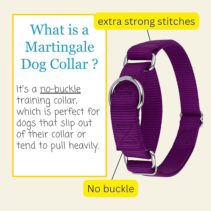 Country Brook Petz - Martingale Dog Collar - Heavy-Duty Training Collar with No Buckle - Service Dog Collar for All Pups - 10+ Cool Colors (Purple, 5/8 Inch, Extra Small)