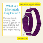 Country Brook Petz - Martingale Dog Collar - Heavy-Duty Training Collar with No Buckle - Service Dog Collar for All Pups - 10+ Cool Colors (Purple, 3/4 Inch, Small)
