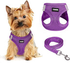 Dog Harness for Small Dogs and Leash Set, Honeycomb Grid, Reflective Lightweight Harness & Anti-Twist Pet Lead (Multi Color, Size: XS-S-M) (S, Purple)