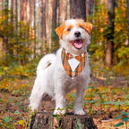 ADOGGYGO Fall Dog Tuxedo Bandana, Orange Plaid Pet Tux Collar with Bowtie, Adjustable Halloween Thanksgiving Formal Costume for Extra Small Dogs Pets (XS)