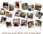 Cat Scratcher 2 in 1 Scratchers for Indoor Cats Scratching Board Cardboard, Horizontal Corrugated Scratch Pad for Cats as Beds & Furniture Reversible Sofa Scratch