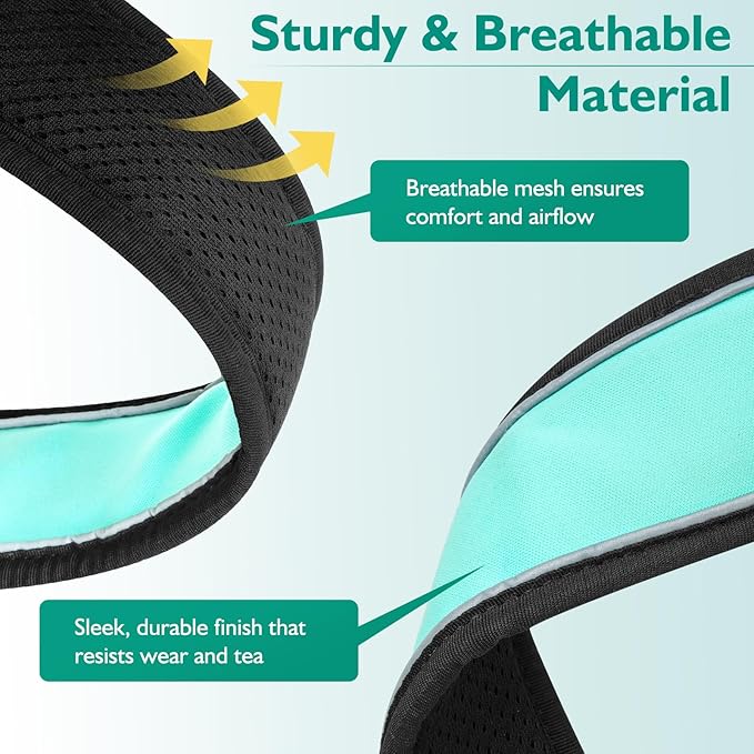 Mayerzon 2 Inch Wide Martingale Collar for Large Dogs, Patented No Pull Walking Training Dog Collar for Pitbull German Shepherd, with Buckle, Reflective Stitching, Neoprene Layer, Adjustable(Teal, L)