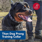 Coastal Pet Titan Dog Prong Training Collar - Rust-Resistant and Prong Metal Training Chain Collar for Dogs - Quality Supplies - 4 mm x 22"