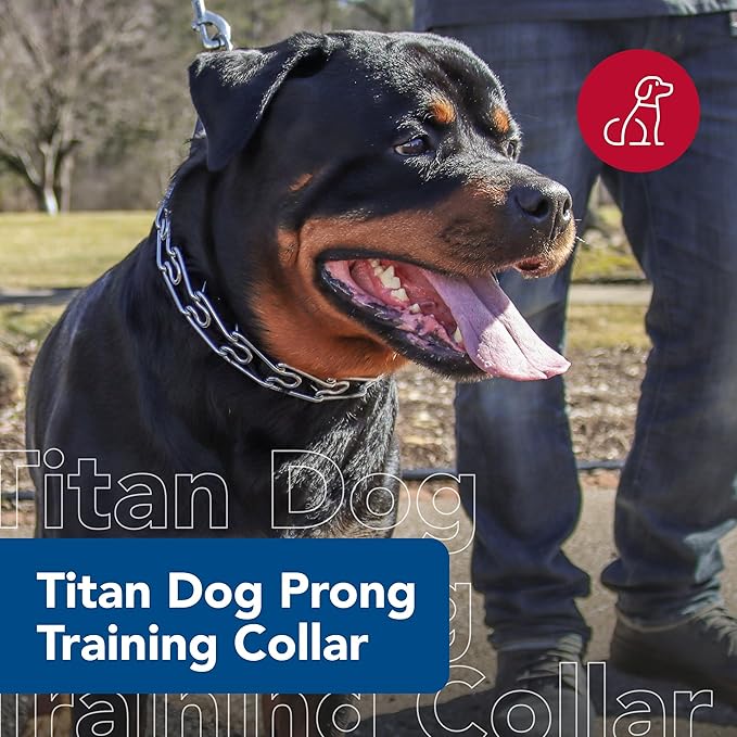 Coastal Pet Titan Dog Prong Training Collar - Rust-Resistant and Prong Metal Training Chain Collar for Dogs - Quality Supplies - 4 mm x 22"