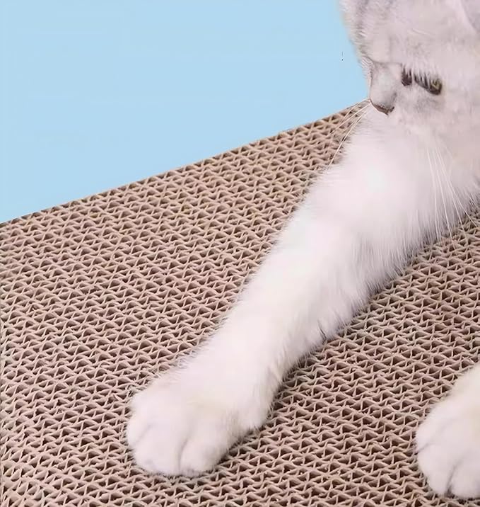 Wavy cat Scratch Board, Made eco-Friendly Corrugated Paper, pet cat Toy, Indoor cat Scratch pad, usable on Both Sides (2pcs)