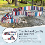 Lucky Love Dog Martingale Dog Collar & Leash - Adjustable, No-Slip, Durable, Comfortable, Soft Webbing, & Stylish Patterned Dog Collar & Leash Set for Male and Female Dogs - Linus Combo, Medium