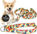 Lucky Love Dog Martingale Dog Collar & Leash - Adjustable, No-Slip, Durable, Comfortable, Soft Webbing, & Stylish Patterned Collar & Leash Set for Male and Female Dogs - Oscar Combo, Small