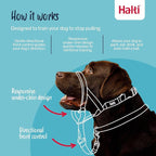 Halti Headcollar - Stop Your Dog Pulling on the Leash. Adjustable, Reflective and Lightweight, with Padded Nose Band. Dog Training Anti-Pull Collar for Medium Dogs (Size 3, Black)