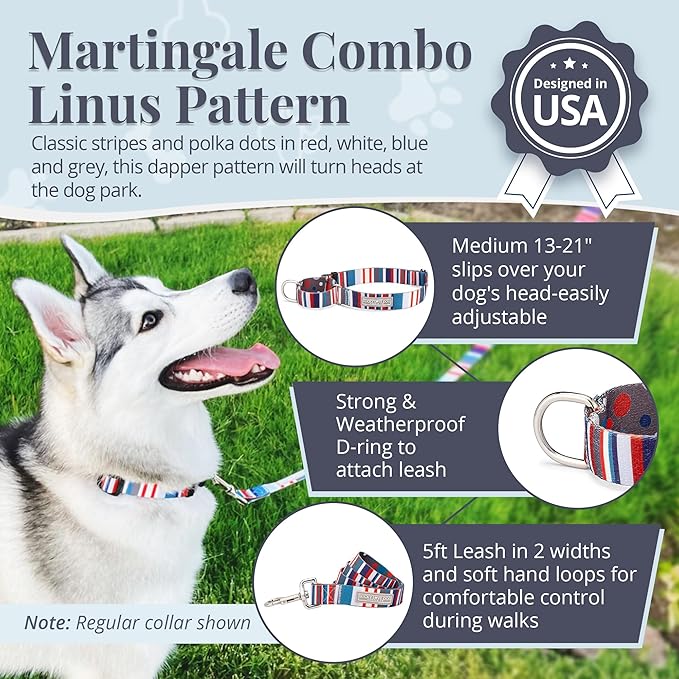 Lucky Love Dog Martingale Dog Collar & Leash - Adjustable, No-Slip, Durable, Comfortable, Soft Webbing, & Stylish Patterned Dog Collar & Leash Set for Male and Female Dogs - Linus Combo, Medium