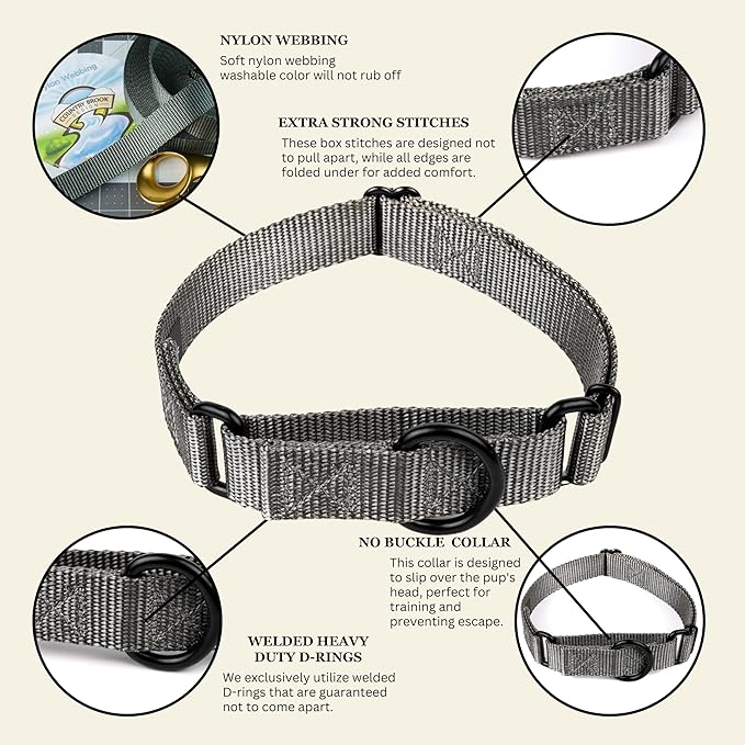 Country Brook Petz - Martingale Dog Collar - Heavy-Duty Training Collar with No Buckle - Service Dog Collar for All Pups - 10+ Cool Colors (Charcoal, 3/4 Inch, Small)