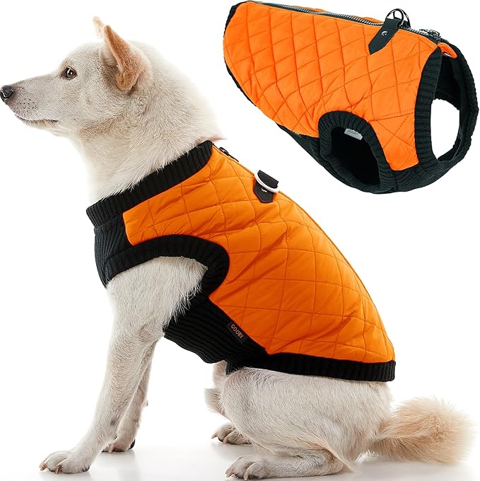Gooby Fashion Vest Dog Jacket - Orange, Medium - Warm Zip Up Dog Bomber Vest with Dual D Ring Leash Water Resistant for Small to Medium Dogs