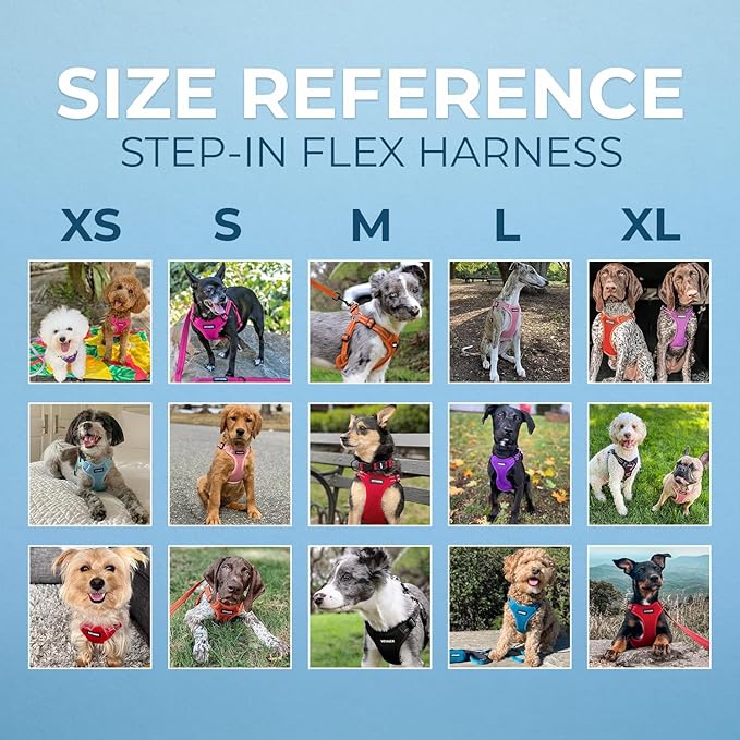 Best Pet Supplies Voyager Adjustable Step-in Flex Breathable Mesh Dog Harness for Small Medium Large Dogs (Red), XL