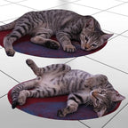 Cat Bed Mat Natural Merino Wool Cozy Large Carpet Pad for Pet Cats Kitty Small Dog House Warm Organic Sheep Wool Scratch Floor Mats Rug Bedding (Aqua Red, Large)