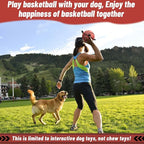QDAN Dog Ball Basketball Toys, Balls with Straps, Dog Water Toy Pool Toys for Small Medium Dogs (6 Inch)