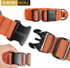 OneTigris Tough Dog Collars, Tactical Dog Collar with Handle, Milltary Adjustable Dog Collar with Heavy Duty Metal Buckle for Training (Medium(Pack of 1), Orange)