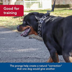 Coastal Pet Titan Easy-On Dog Prong Training Collar with Buckle - Durable Metal Training Collar for Dogs with Side Release Buckle - Black, 3 mm x 18"