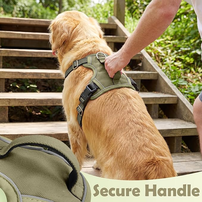 Funfox Dog Harness No Pull, Adjustable Pet Vest Harness, Super Soft Material with Vertical Handle Easy Control, Reflective Night Walking, 2 Leash Clips for Small Sized Dogs, Army Green, S
