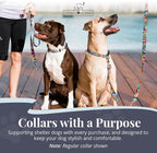 Lucky Love Dog Martingale Dog Collar - Adjustable, No-Slip, Durable, & Soft Webbing Collar for Male and Female Dogs Ideal for Training & Walking - Blackbird, Small