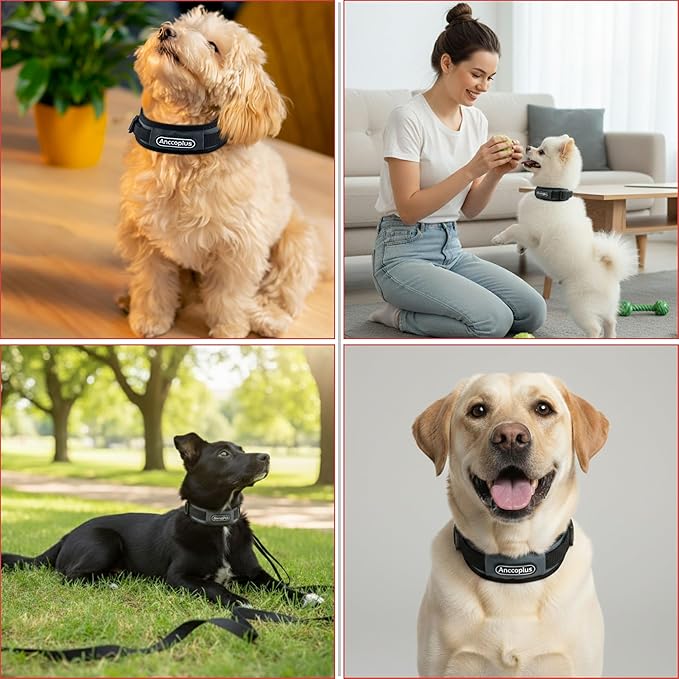 Comfort Fit Dog Collar, Anti-Choke Neck Safe Dog Training Collar, Wide Padded, Breathable, Adjustable with Dual D-Rings, Soft Cushion Neck Protector for Dogs (S, Gray)