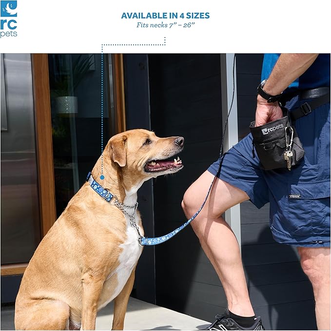 RC Pets 0.6" Martingale Training Collar, X-Small, Pineapple Parade