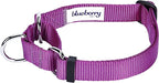 Blueberry Pet Essentials Martingale Safety Training Dog Collar, Violet, Small, Heavy Duty Nylon Adjustable Collars for Dogs