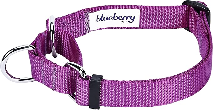 Blueberry Pet Essentials Martingale Safety Training Dog Collar, Violet, Small, Heavy Duty Nylon Adjustable Collars for Dogs