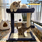 Cat Tree, 19.69" H(50cm) Cat Scratching Post with Cat Bed, Scratching Posts for Indoor Cats with Two Plush Balls Toy, Small Cat Tree for Kittens/Cats Playing and Relaxing