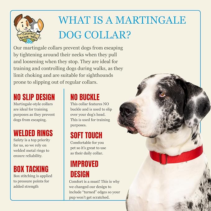 Country Brook Petz - Martingale Dog Collar - Heavy-Duty Training Collar with No Buckle - Service Dog Collar for All Pups - 10+ Warm Colors (Hot Yellow, 3/4 Inch, Small)