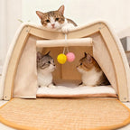 Cat Houses for Indoor Cats - Large Cat Bed Cave with Natural Sisal Cat Scratcher Mat, Solid Wood Frame Cat House with Curtains and Cat Floor Scratching Pad Rug, Protect Couch and Carpets, L