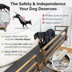 DoggoRamps Bed Ramp for Small Dogs - Solid Hardwood - Adjustable up to 37" Tall Beds with Safety Rails & Anti-Slip Grip - Made in North America Walnut