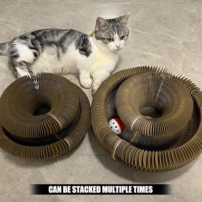 Magic Organ Cat Toy, 1PC Magic Organ Cat Scratching Board, Magic Organ Cat Scratch Board Cat Toy with Bell Cat Grinding Claw, Foldable Magnetic Corrugated Paper Circular (Classic, Count, 1)