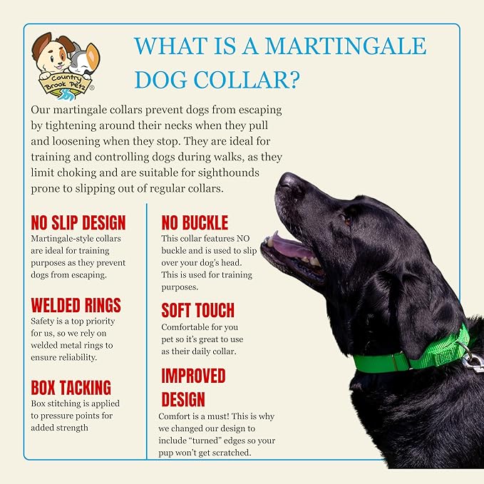Country Brook Petz - Martingale Dog Collar - Heavy-Duty Training Collar with No Buckle - Service Dog Collar for All Pups - 10+ Cool Colors (Hot Green, 3/8 Inch, 3XS)