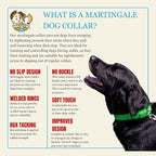 Country Brook Petz - Martingale Dog Collar - Heavy-Duty Training Collar with No Buckle - Service Dog Collar for All Pups - 10+ Cool Colors (Hot Green, 5/8 Inch, Extra Small)