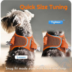Eagloo Small Dog Harness and Leash Set, Step in Puppy Vest with Breathable Soft Mesh, Walking Reflective Pet Harness for Small Dogs, Orange, S