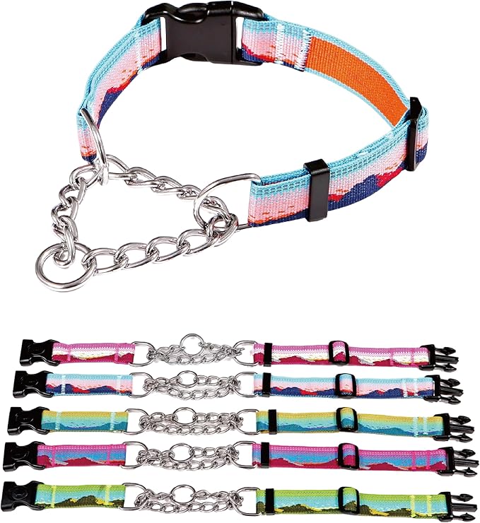 Martingale Dog Collars with Stainless Steel Chain, Reflective No Pull Walking Training Collar with Quick Release Buckle, Adjustable Slip Chain Nylon Dog Collars for Small Medium Large Dogs