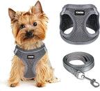 Dog Harness for Small Dogs and Leash Set, Honeycomb Grid, Reflective Lightweight Harness & Anti-Twist Pet Lead (Multi Color, Size: XS-S-M) (S, Grey)