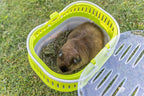 Trixie Pico Transport Crate - Portable Pet Carrier Great for On-The-Go - Traveling Cage for Small Pets, Hamsters, Guinea Pigs, Lizards, and More