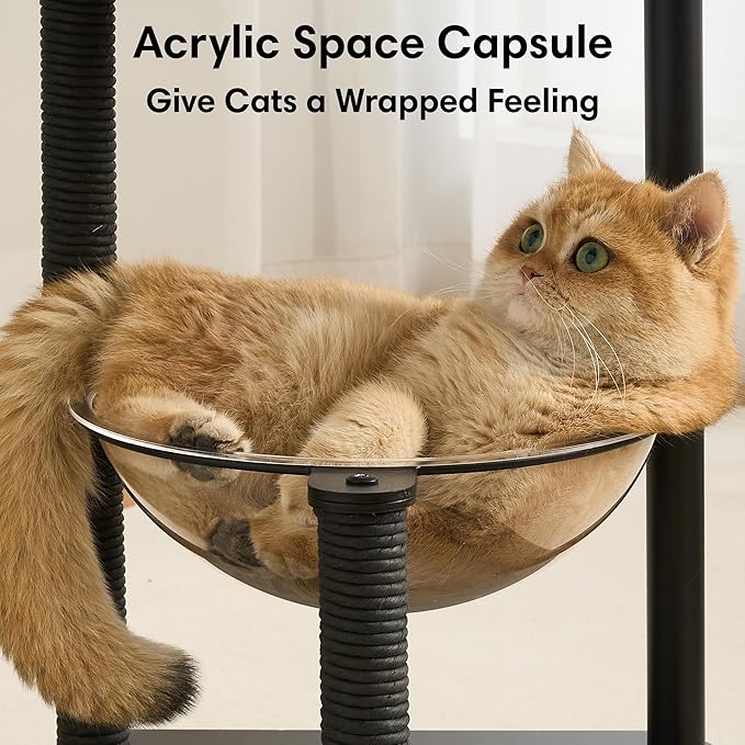 Modern Cat Tree, Wood Cat Tower with Steel Frame, Scratching Posts, Cat Capsule, Plush Mat, Bell Dangling Toy, Aesthetic Minimalist Heavy-Duty Cat Climbing Tree for Large Indoor Adult Cats-Black